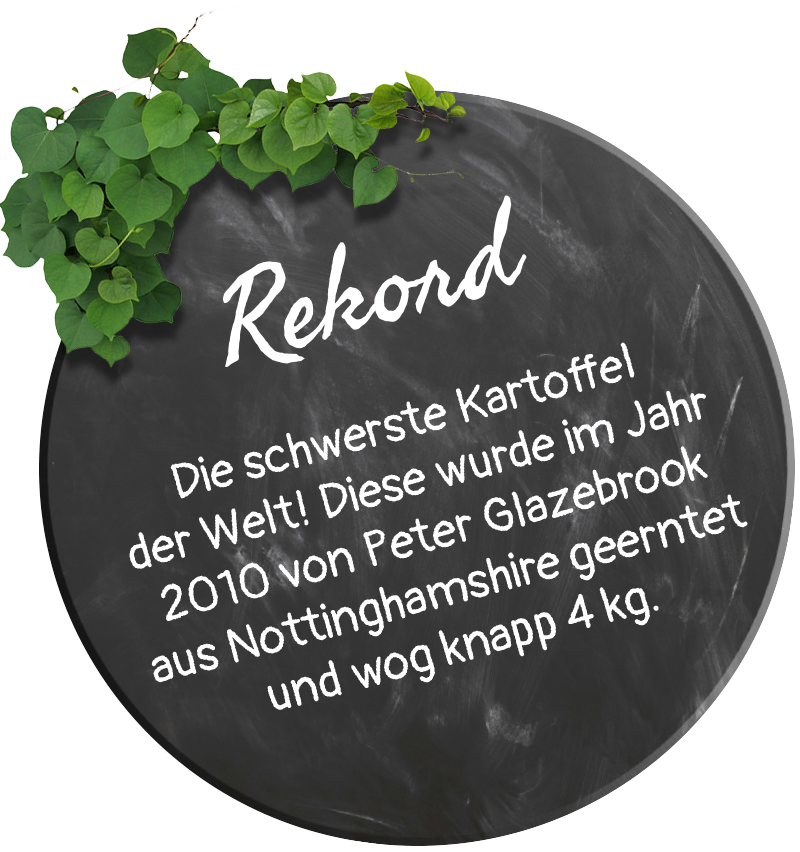 Kartoffelhaus – das total verrückte Restaurant in Eisenach