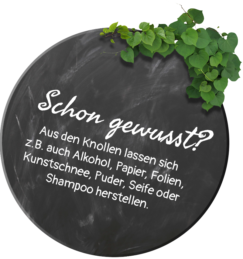 Kartoffelhaus – das total verrückte Restaurant in Eisenach