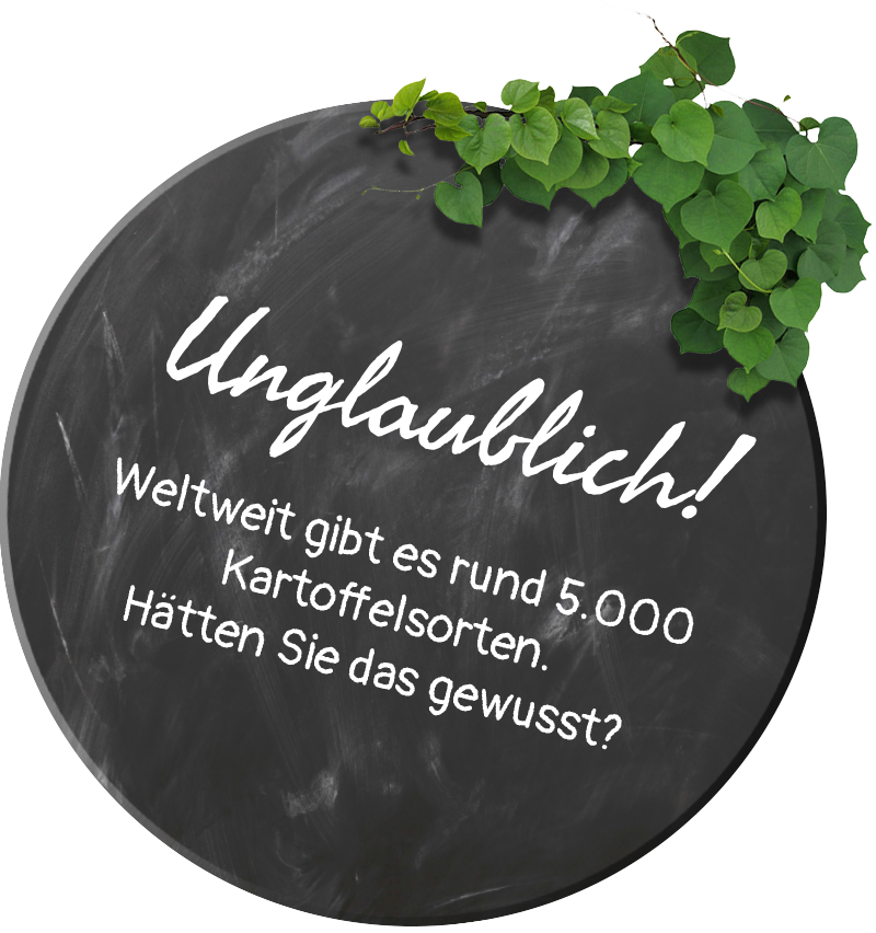 Kartoffelhaus – das total verrückte Restaurant in Eisenach